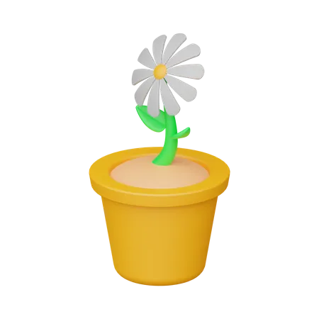 Flower Pot  3D Icon