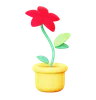 Flower Pot