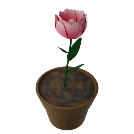 Flower Pot  3D Icon