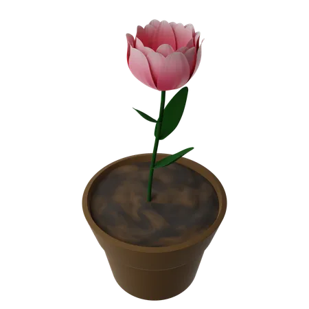 Flower Pot  3D Icon