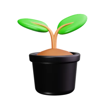 Flower Pot  3D Icon