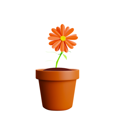 Flower Pot  3D Illustration