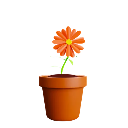 Flower Pot  3D Illustration