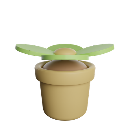 Flower Pot  3D Illustration