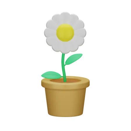 Flower Pot 3 D Spring 3D Icon