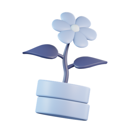 Flower with Coin Pot  3D Icon