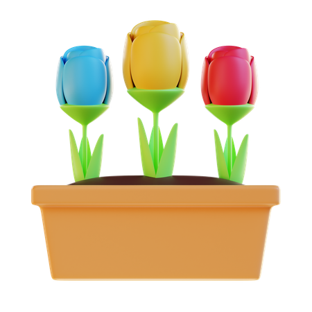 Flowers  3D Icon