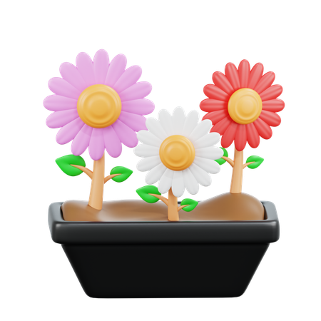 Flowers  3D Icon