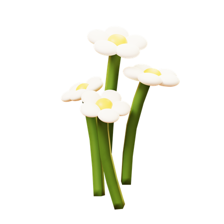 Flowers  3D Icon