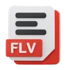 FLV FILE