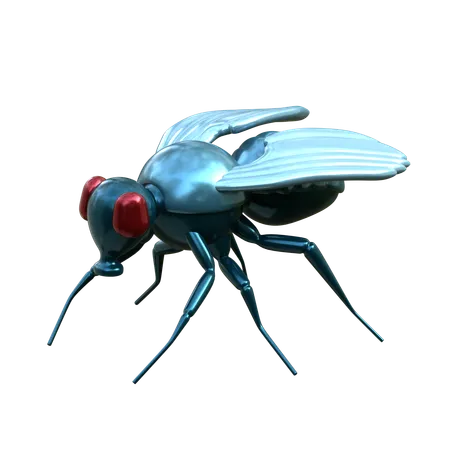 Fly 3 D Insect Illustration 3D Icon