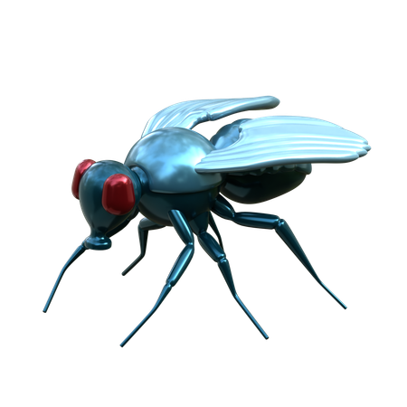 Fly  3D Icon