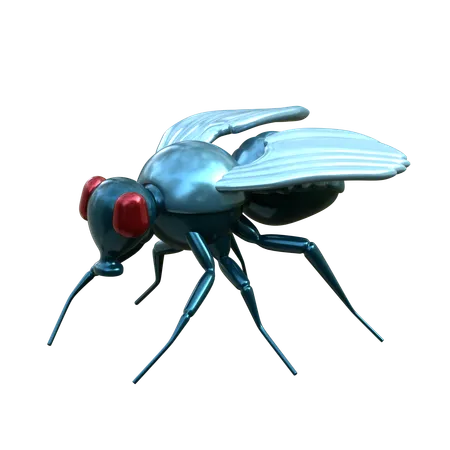 Fly  3D Icon