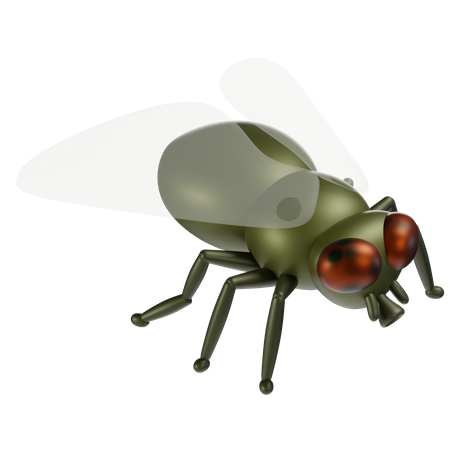 Fly  3D Icon