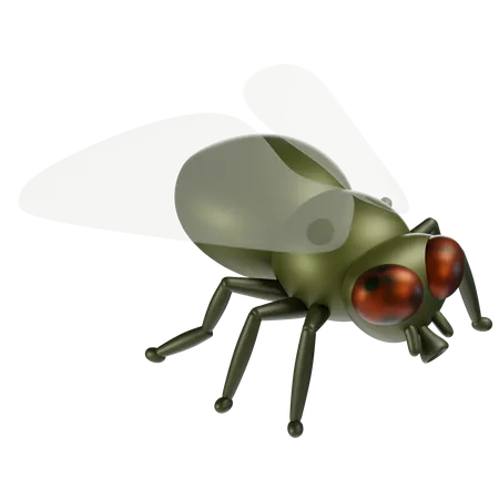 Fly  3D Icon