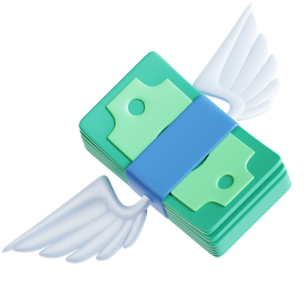 Fly Money  3D Icon