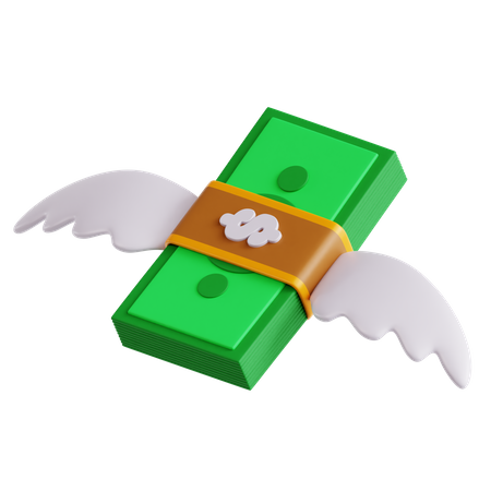 Flying Currency  3D Icon