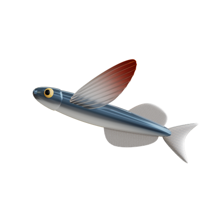 Flying Fish  3D Icon
