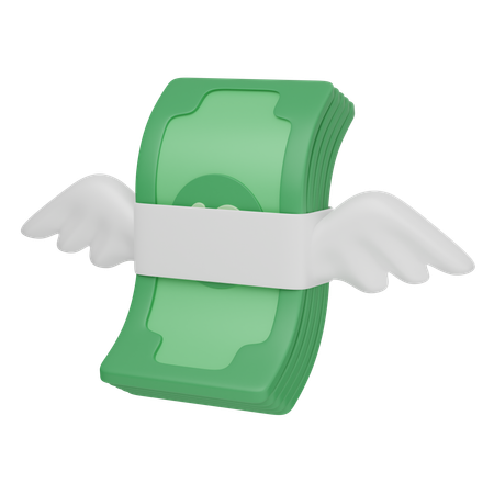 Flying Money  3D Icon