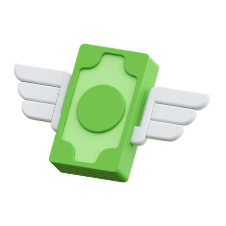 Flying Money  3D Icon