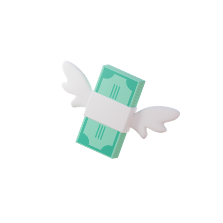 Flying Money  3D Icon