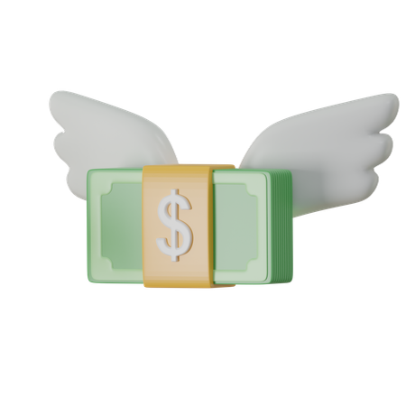 Flying Money  3D Icon