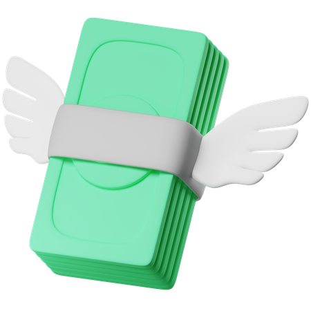 Flying Money  3D Icon