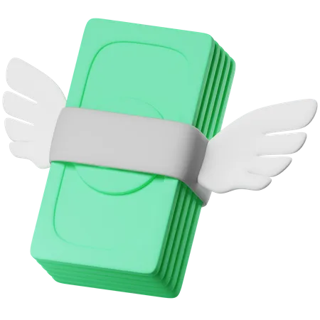 Flying Money  3D Icon