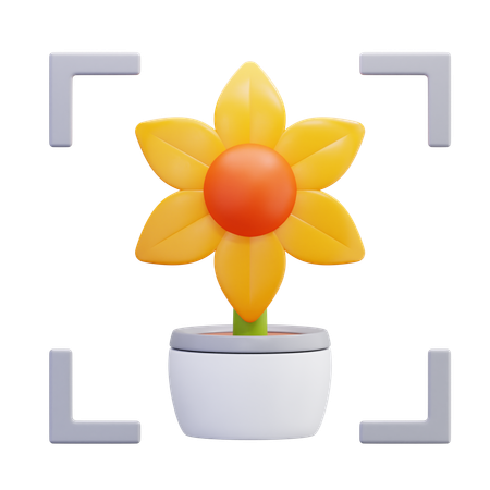 Focus sur l'objet fleur  3D Icon