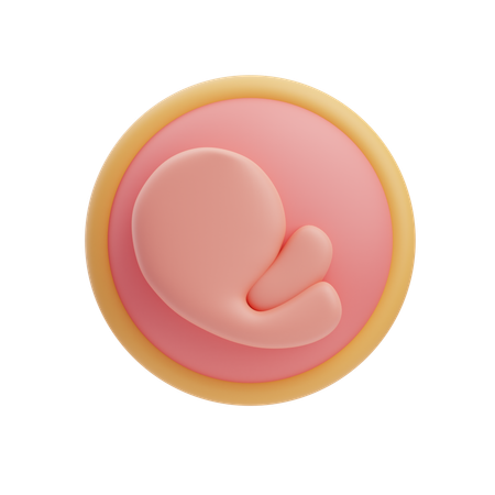 Fœtus  3D Icon