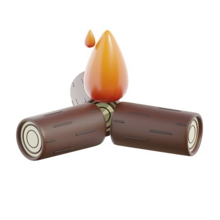 Fogo ósseo  3D Icon