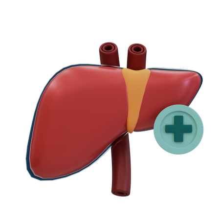 Foie en bonne santé  3D Icon