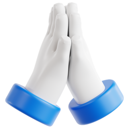 Folded Hands  3D Icon