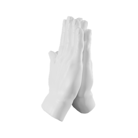 Folded Hands  3D Illustration