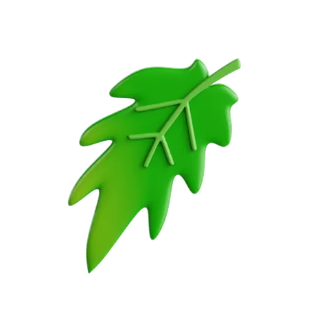 Folha de erva serrilhada  3D Icon
