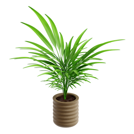 Folha de palmeira  3D Icon