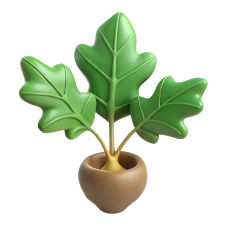 Planta de figo de folha de violino  3D Icon