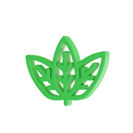 Folha verde  3D Icon