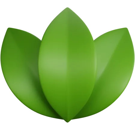 Renderizacao 3 D Com Tres Folhas Verdes Isoladas 3D Icon