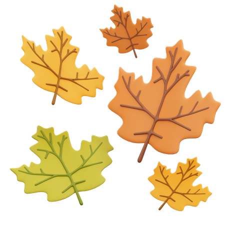 Folhas de carvalho caídas  3D Icon