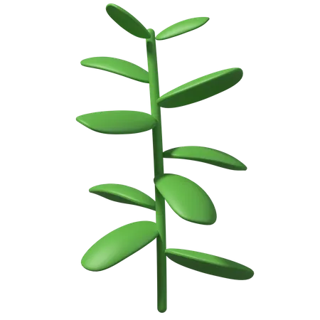Folhas verdes  3D Illustration