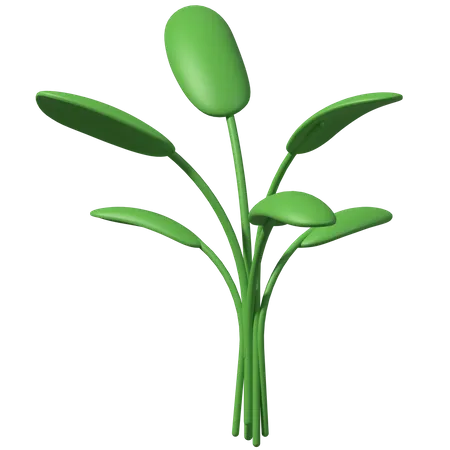 Folhas verdes  3D Illustration