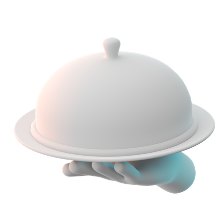 Food Serving  3D Icon