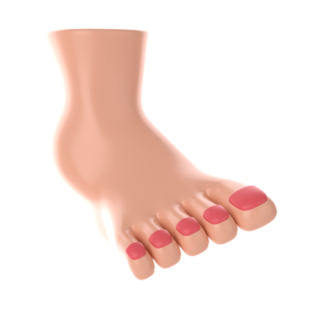 Foot  3D Icon