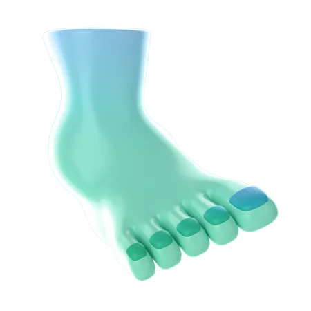 Foot  3D Icon