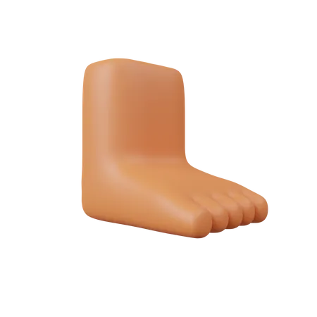 Foot  3D Icon