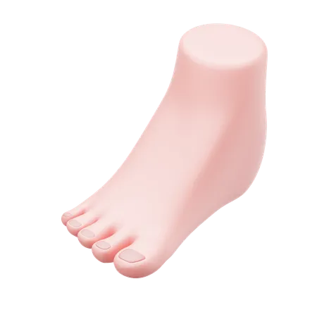 Foot  3D Icon