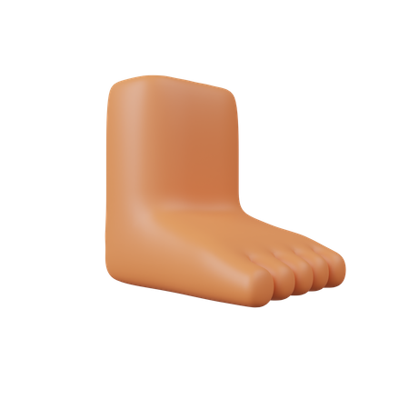 Foot  3D Icon