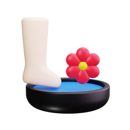 Foot Spa  3D Icon