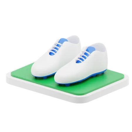 Football shoes  3D Illustration